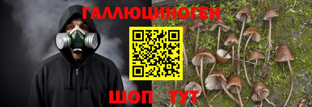 Галлюциногенные грибы MAGIC MUSHROOMS Лесозаводск