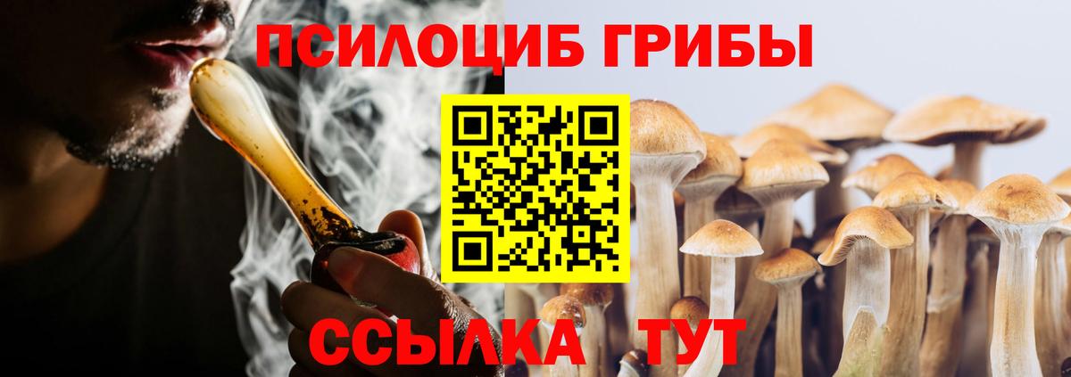 Псилоцибиновые грибы Psilocybe  Вход с VPN  Лесозаводск 