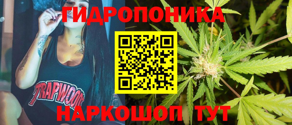 Лесозаводск  Конопля индика  Канабис семена  Вход с VPN  Конопля гибрид 